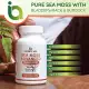 [PRE-ORDER] Infinite Age: Sea Moss Advanced - High-Potency Vegan Superfood with Bladderwrack and Burdock Root - 60 Capsules - Overall Health and Immunity Support - Made in The USA - Purity Transparency (ETA: 2023-02-19). 