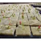 12/24/48 cubes Rockwool Cube 4x4x4cm for Hydroponic Aquaponic Seed Germination Semai Benih Hidroponik 岩棉. 