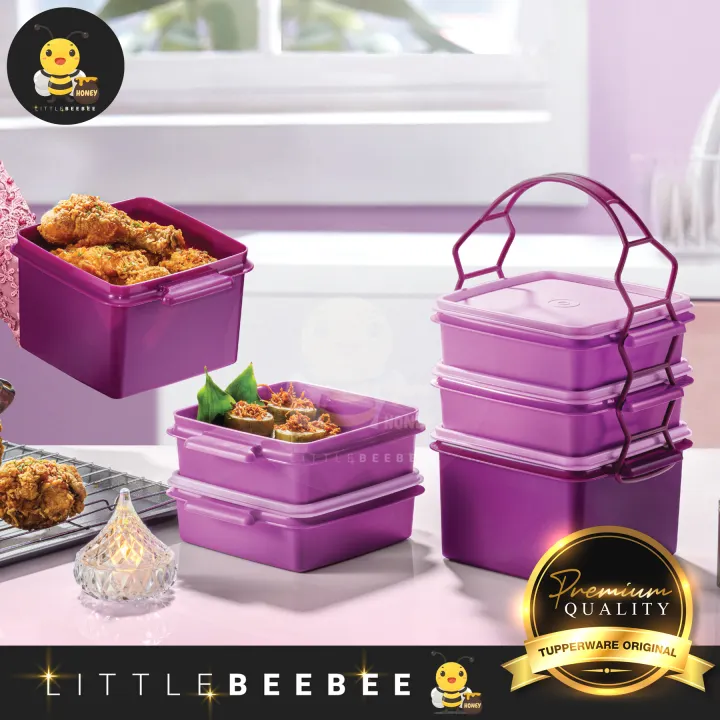 Tupperware Triffin Delight Set / Small Goody Box / Lunch Box