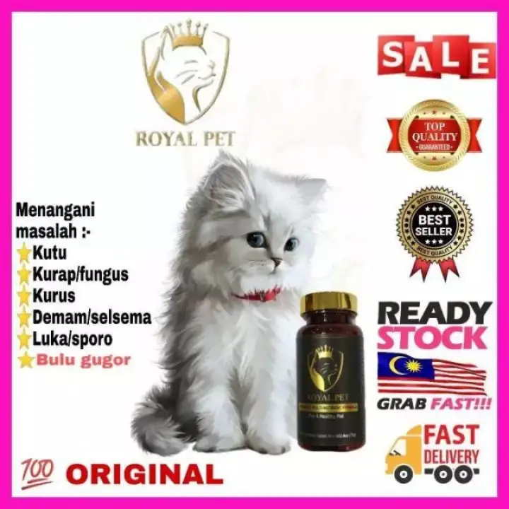 Royal Pet Super Vitamin Supplement For Cat 1 Botol Lazada