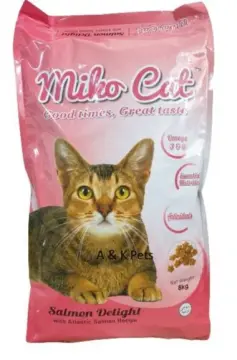 Beli Kucing Bengal Pada Harga Terendah Lazada Com My