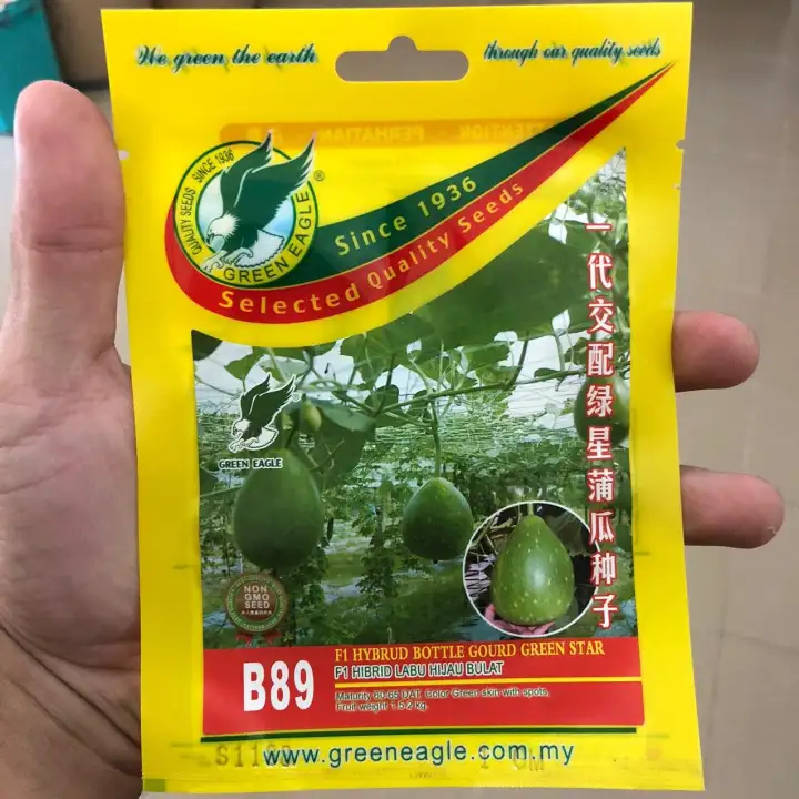 Benih Labu Air Hijau Bulat Bottle Gourd Green Star Green Eagle B89 1gm Lazada