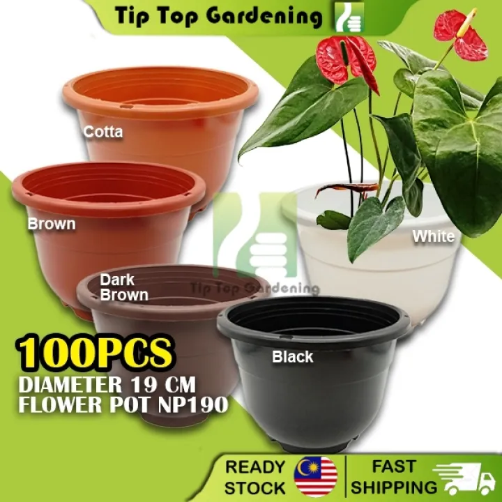 Tip Top Wholesale 100pcs Diameter 19 Cm Plastic Flower Pot Pasu Plastik Bunga Np190 Gardening Deco Tools Lazada