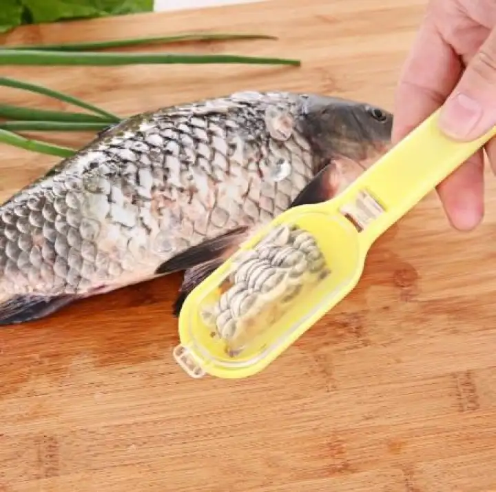 Easy Clean Alat Bersih Sisik Ikan Alat Buang Sisik Ikan Pembersih Sisik Ikan Fish Cleaner Fish Scale Cleaner Fish Scale Remover Fish Scrapper Fish Scale Scrapper Lazada