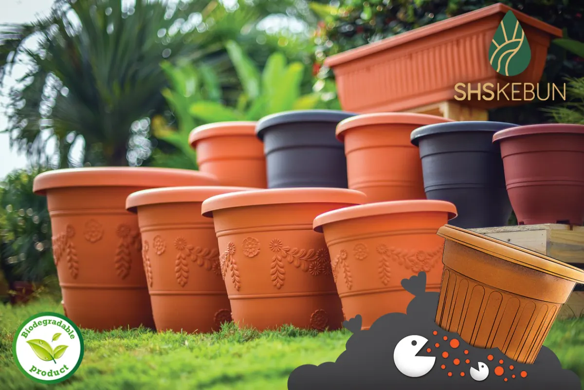 Baba Bi Sl 512 Big Shallow Pot Pasu Bunga Besar 51 2 Cm X 22 9 Cm Shs Kebun Lazada