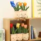 【Shanglife】Tulip Succulent Plants Plush Stuffed Decoration Toy Soft Decor Doll Potted Flowers Pillow for Girls Gift. 