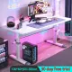 Xpanse standing desk gaming table adjustable office desk study table computer desk Home office and work desk. 