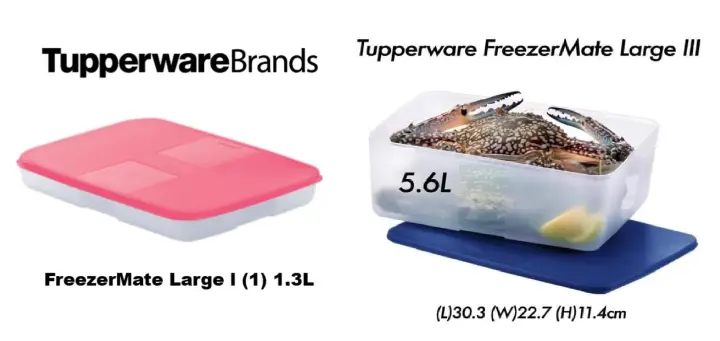 Tupperware Freezermate Large 1.3L / 5.6L  (Frozen Use)