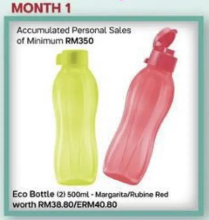 Tupperware Eco Bottle (2pcs) 500ml