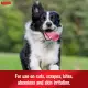 Sulfodene Dog Wound Care Ointment, Relieves Pain & Prevents Infection For Dog Cuts, Scrapes, Bites and Injuries, 56.7g. 