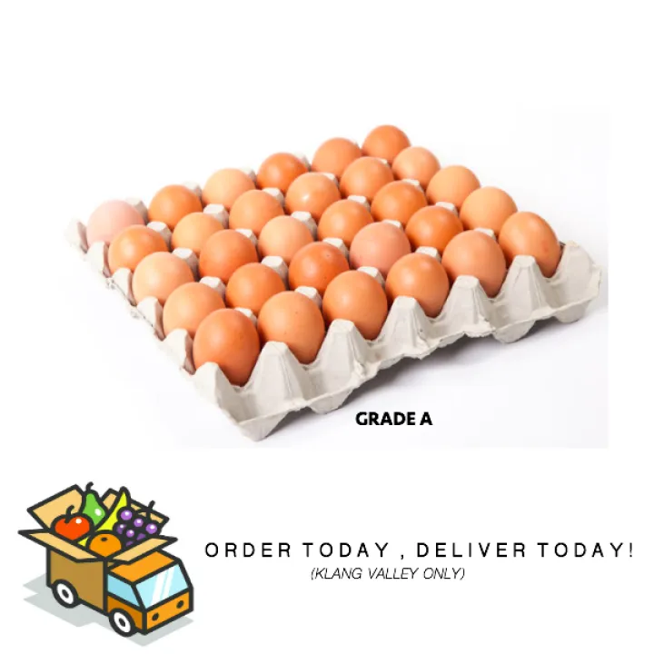 Fresh Egg Grade A Telur 1 Tray Papan 30pcs Lazada