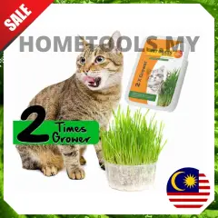 Pelapik Alas Sangkar Arnab Kucing Genuine Pig Lazada