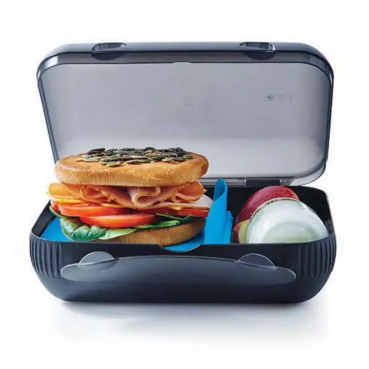 Tupperware At Lunch Box (1pc)