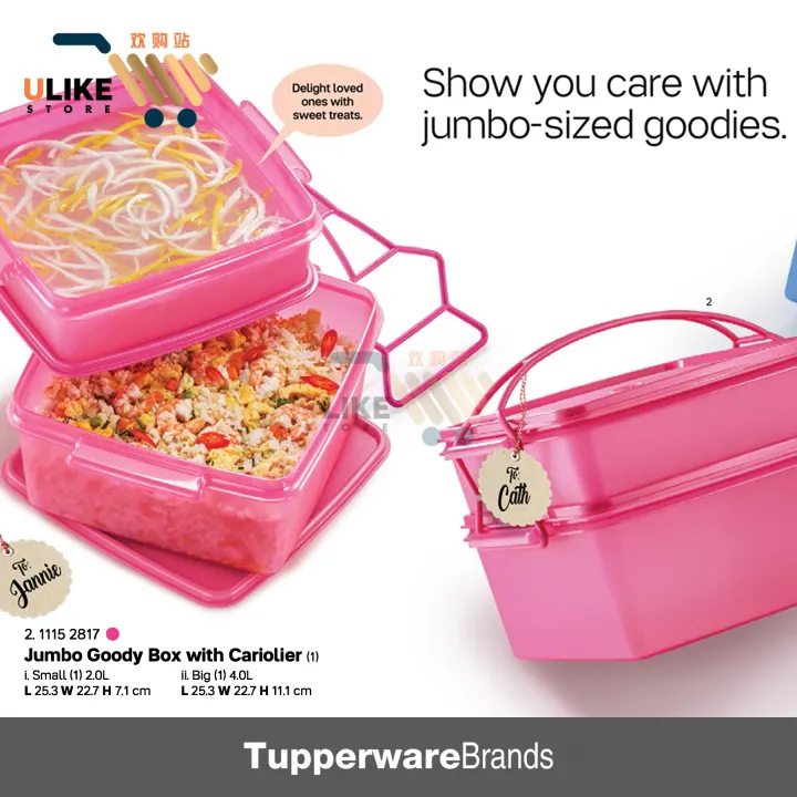 Tupperware Jumbo Goody Box with Cariolier / Lunch Box