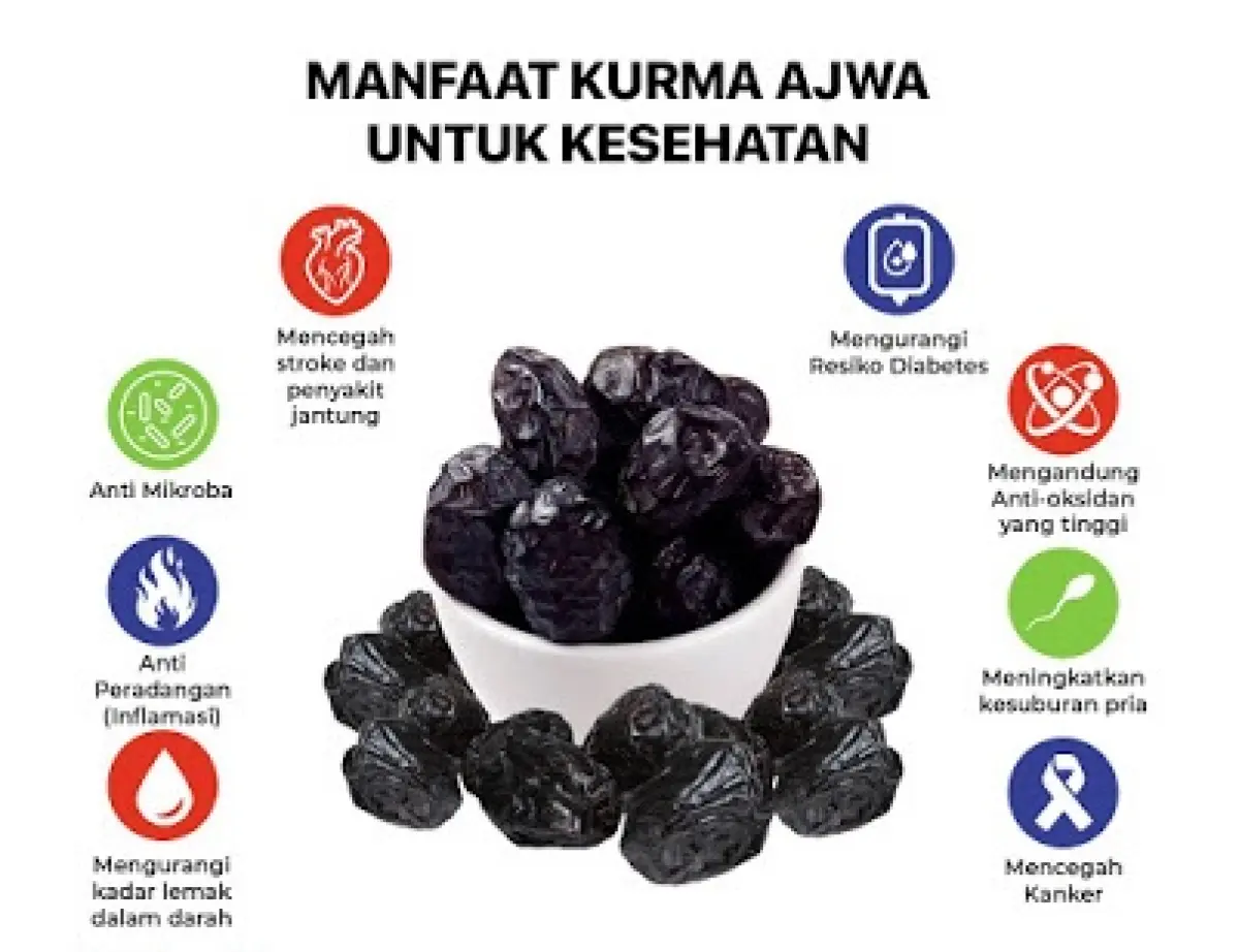 The Gift Kurma Ajwa Madinah Premium Quality Lazada