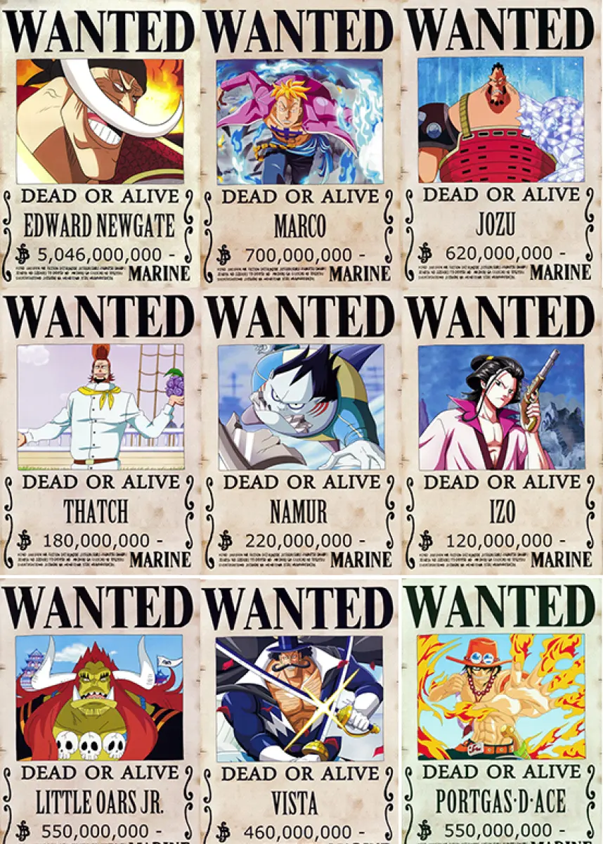One Piece Wanted Whitebeard Pirates 9 Pcs Poster Straw Hat Cap Pirates Flag Bracelet Brooch T