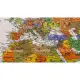 colourful world map showing all the countries (with framed). 