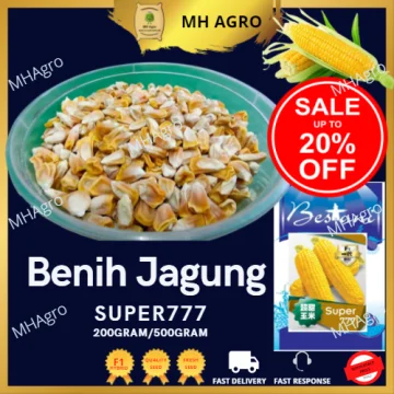 Beli benih jagung madu Pada Harga Terendah  Lazada.com.my