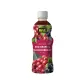 HIIVE FRUIT JUICE 350ML (SOUR PLUM, SOUR APPLE, PINK GUAVA, RED GRAPE, CALAMANSI SOUR PLUM). 