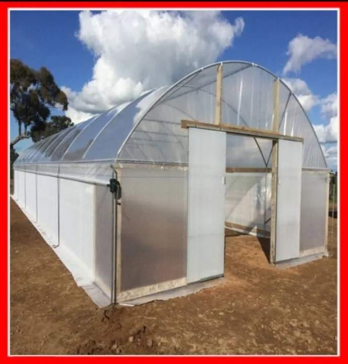 1meter X 24ft Greenhouse Uv Plastic Nano Tech Anti Fungus Plastik Uv Rumah Pelindung Hujan Lazada