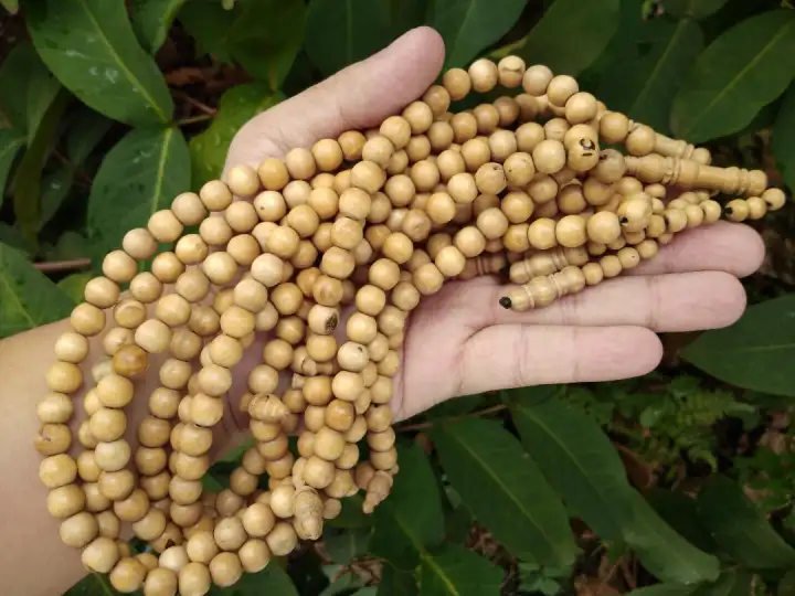Tasbih 99 Kayu Kemuning Emas Asli 9mm Lazada