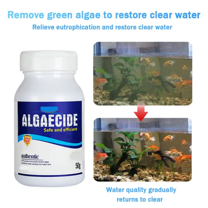 Pond Algae Control Effectively Controls Green Water Algae String or Hair Algae and Blanketweed Pond Cleaner Clarifier