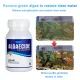 Pond Algae Control Effectively Controls Green Water Algae String or Hair Algae and Blanketweed Pond Cleaner Clarifier. 