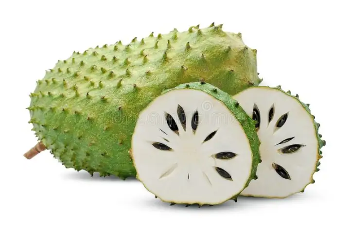 Soursop Plant Anak Pokok Durian Belanda Live Plant Fruits In 2 Years Lazada