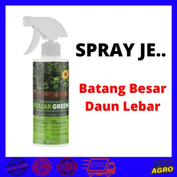 Beli baja pokok sayuran Pada Harga Terendah Lazada.com.my