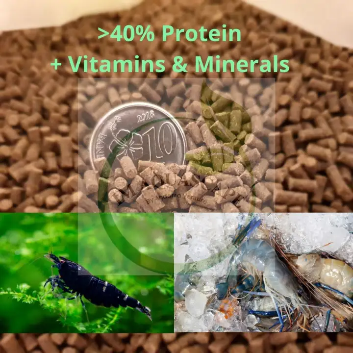Premium Marine Freshwater Shrimp Feed Makanan Udang Lobster Aquatic Shrimp Galah Crayfish Udang Putih Lazada