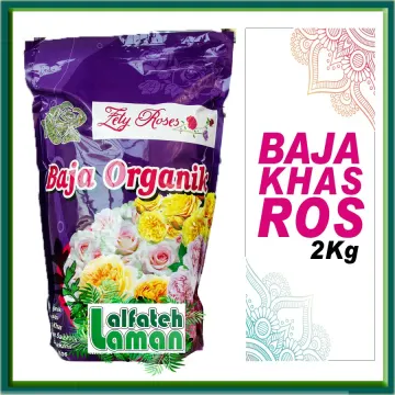 Beli Baja Pokok Bunga Ros Pada Harga Terendah Lazada Com My