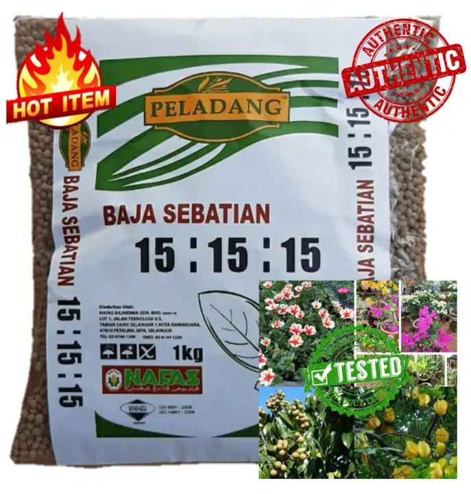 10 Jenis Baja Cara Buat 5 Baja Organik Untuk Pokok Rumah Anda