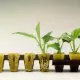 12/24/48 cubes Rockwool Cube 4x4x4cm for Hydroponic Aquaponic Seed Germination Semai Benih Hidroponik 岩棉. 