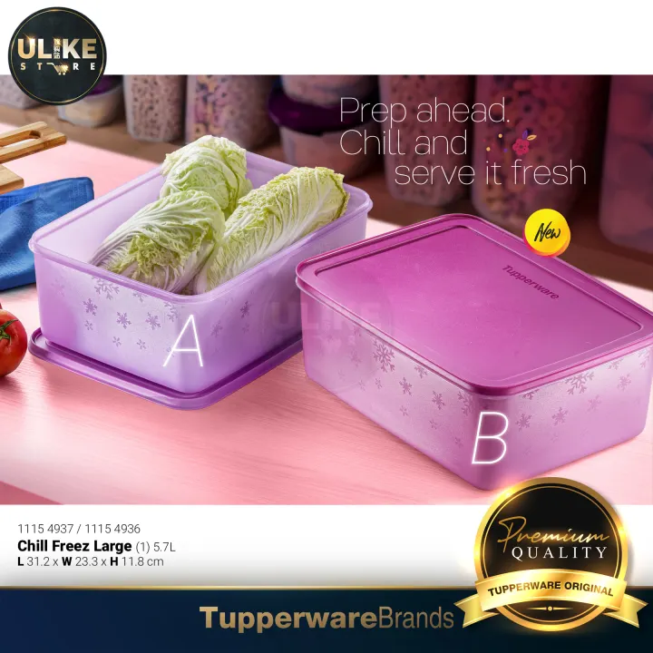 Tupperware Chill Freez Large (1pc) 5.7L / Food Storage