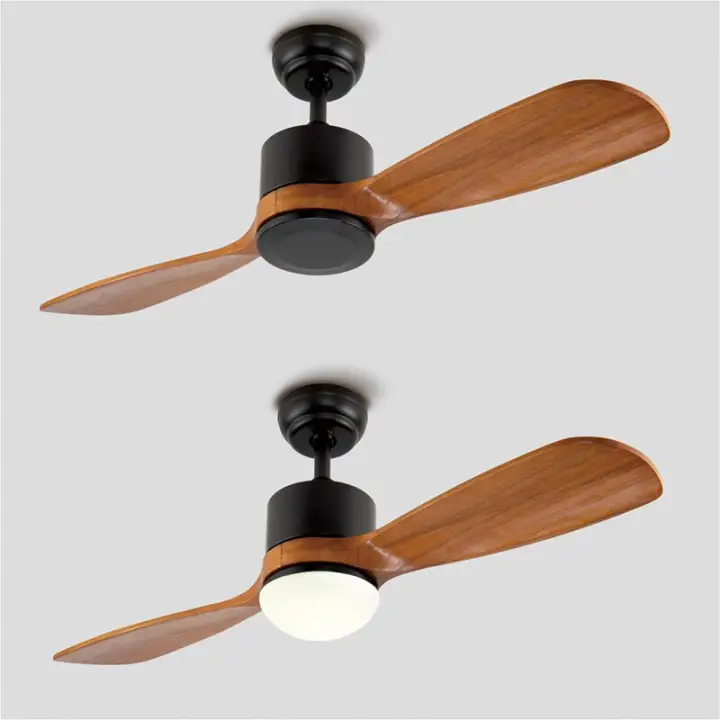 2 blade ceiling fan