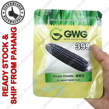 Beli benih jagung leckat Pada Harga Terendah  Lazada.com.my