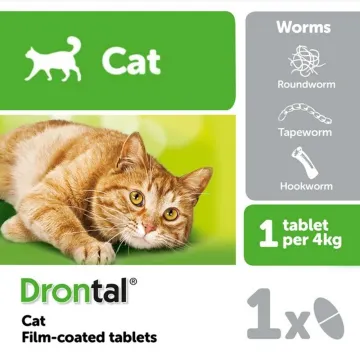 Beli drontal ubat cacing kucing Pada Harga Terendah  Lazada.com.my