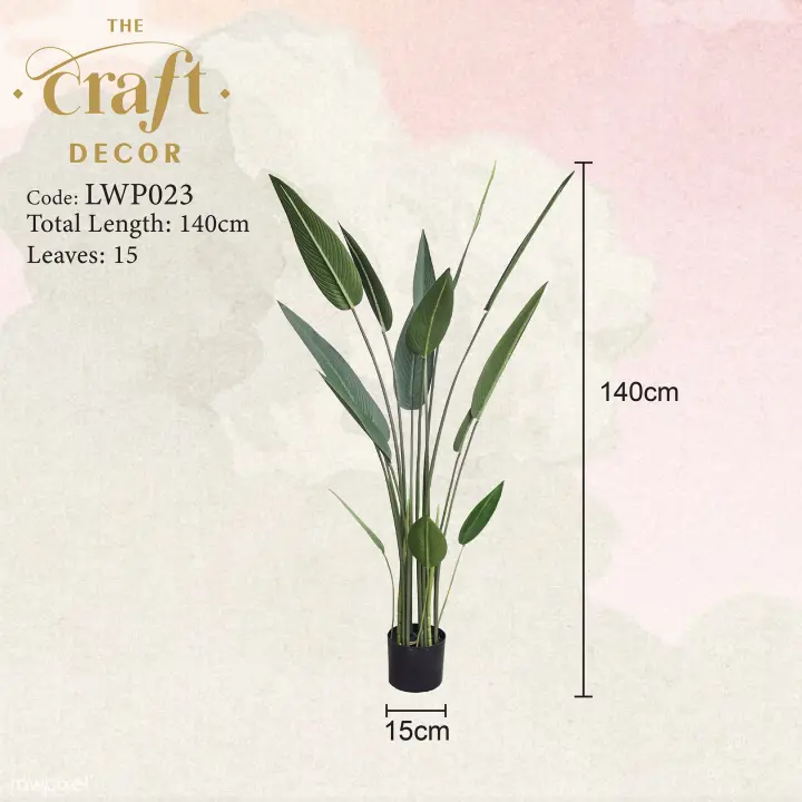 Pokok Banana Skybird Viral Home Facebook