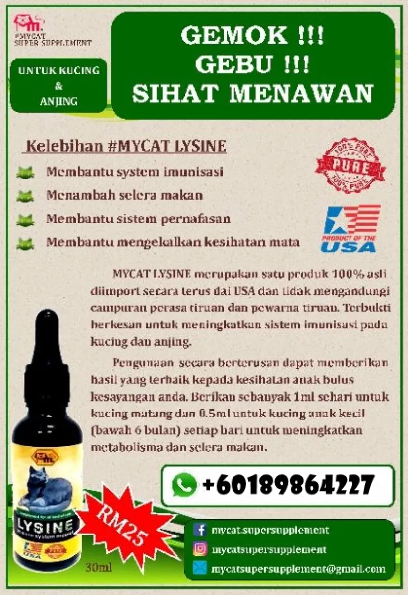 CAT LYSINE MAKANAN KUCING GEBU, SIHAT, AKTIF u0026amp; GEMUK  Lazada