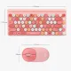 Alcatroz JellyBean A3000 Wireless Keyboard and Silent Mouse Combo | Wireless 2.4G | Bluetooth Compatible | Rechargeable. 