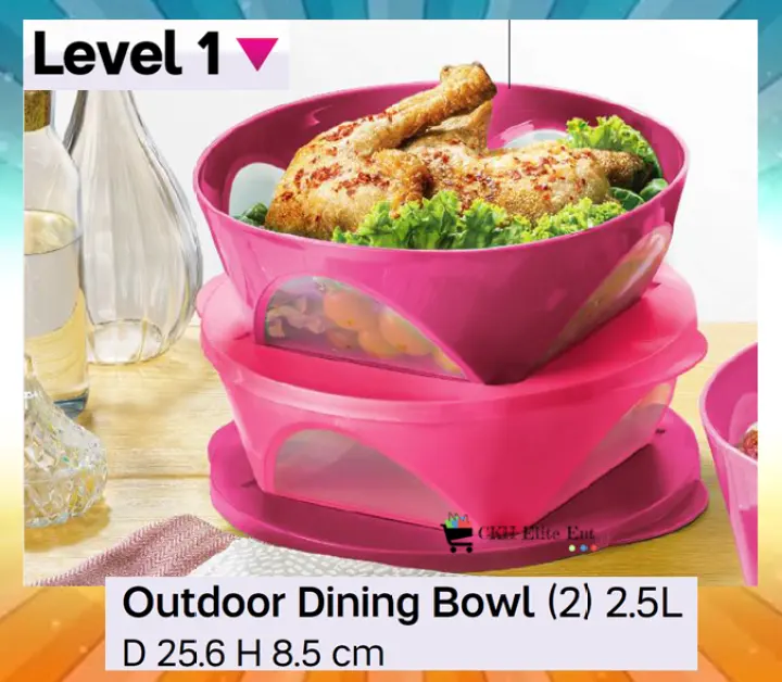 Tupperware Outdoor Dining Bowl 2.5L (2 pieces)