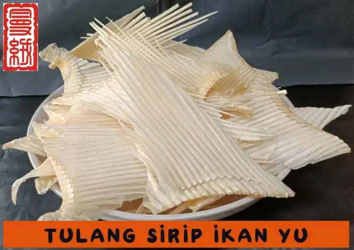 TULANG SIRIP IKAN YU