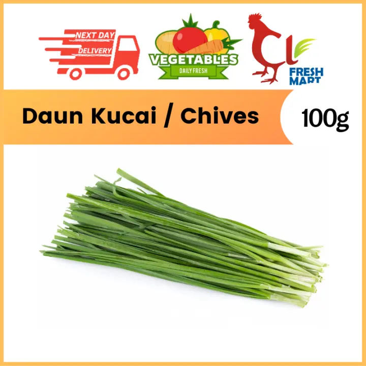 Daun Kucai Chives 100g Fresh Vegetable Lazada