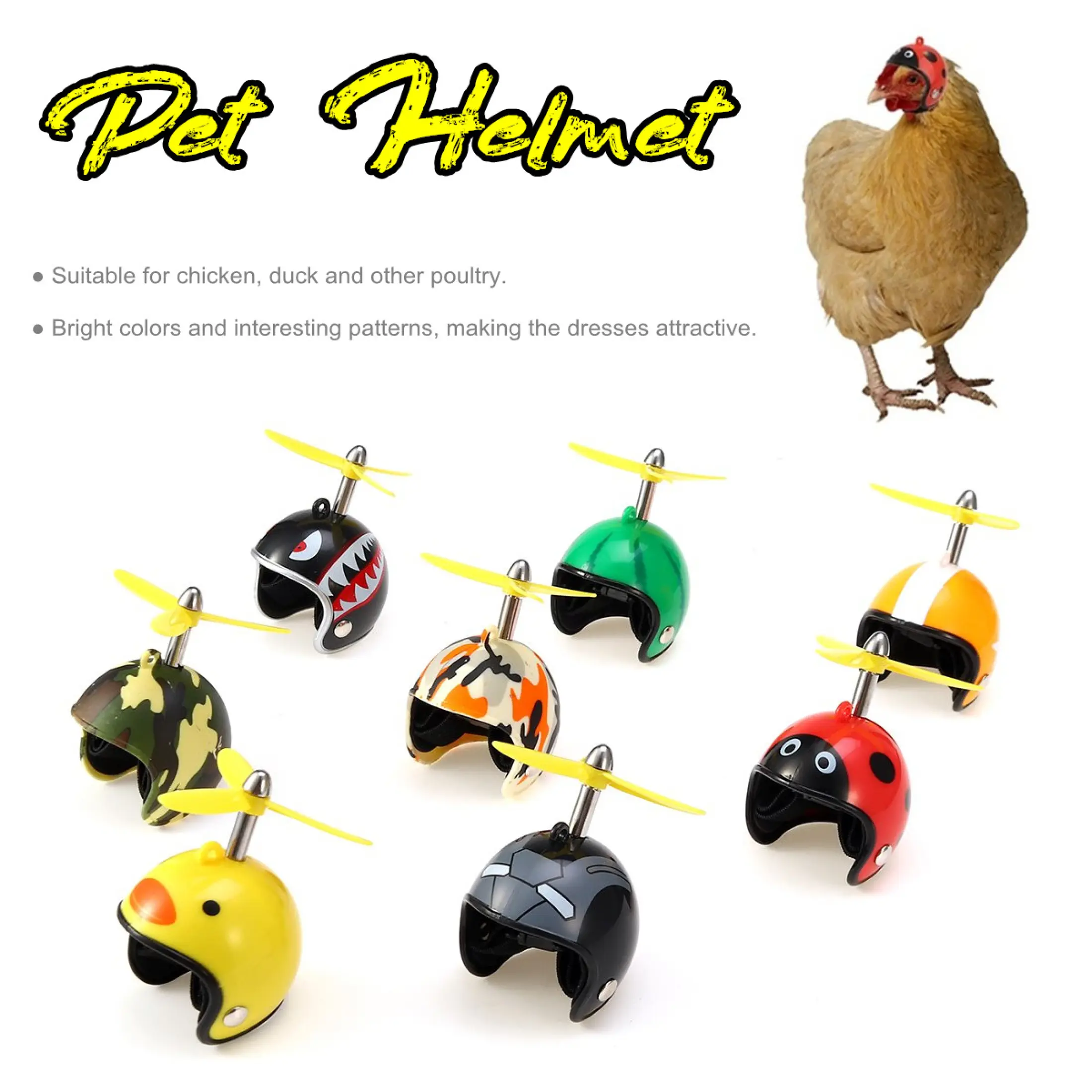 850 Koleksi Gambar Burung Kepala Ayam HD