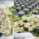 12/24/48 cubes Rockwool Cube 4x4x4cm for Hydroponic Aquaponic Seed Germination Semai Benih Hidroponik 岩棉. 