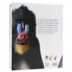DK Encyclopedia New Version Third EditionAnimal The Definitive Visual Guide Original English Imported Books Animal Science Books Hardcover Large Format. 