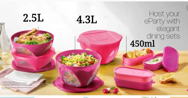 Tupperware Outdoor Dining Bowl and Ezy Oval Keeper (8 PCS) - 450ml + 2.5L + 4.3L
