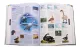 DK Encyclopedia New Version Third EditionAnimal The Definitive Visual Guide Original English Imported Books Animal Science Books Hardcover Large Format. 