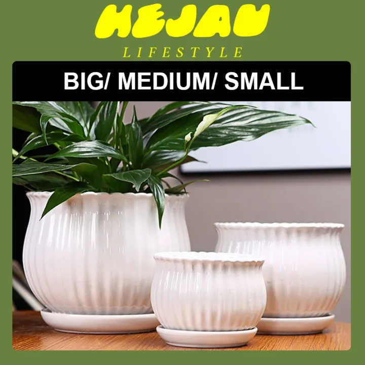 M Sia Ready Stock White Classic Ceramic Pot With Horizontal Stripes 花 盆陶瓷简约带托盘多肉花盆 Lazada