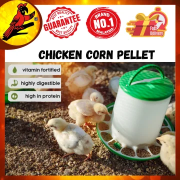 Buy Chicken Feed Corn online  Lazada.com.my